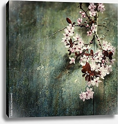Постер Spring Cherry blossoms