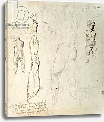 Постер Микеланджело (Michelangelo Buonarroti) Study of the Christ Child and an Anatomical Drawing with Notes
