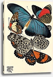 Постер Papillons by E. A. Seguy №3