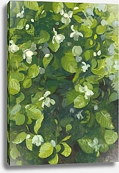 Постер Гловер Ли (совр) Magnolia in flower, 2014