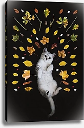 Постер Кот и осенние листья