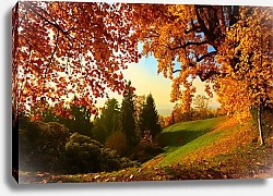 Постер Осенние краски в парке