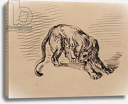 Постер Делакруа Эжен (Eugene Delacroix) Tiger Frightened by a Snake, 1858