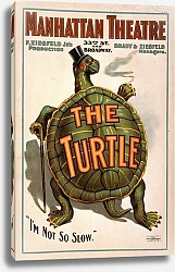 Постер Стробридж и К The turtle