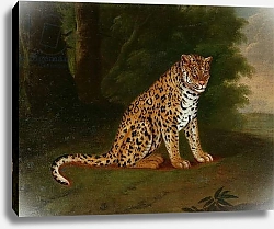 Постер Агассе Жак A Leopard in a landscape