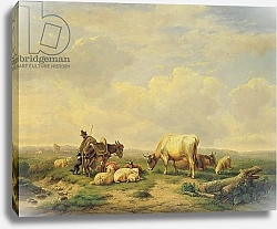 Постер Веррбекховен Евген Herdsman and Herd, c.1880
