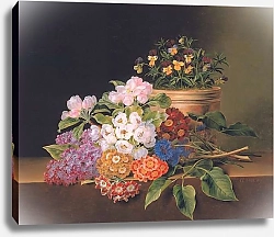 Постер Дженсен Йоханн Lilac, apple blossom, cornflowers and sweet williams with a pot of violas on a ledge, 1827