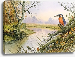 Постер Даннер Карл (совр) Kingfisher: Autumn River Scene