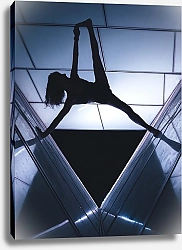 Постер Силуэт гимнастки