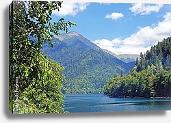 Постер Озеро Рица в горах Абхазии
