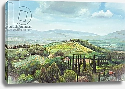 Постер Нил Тревор (совр) Rolling Hills, Pistoia, Tuscany