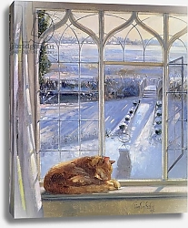 Постер Истон Тимоти (совр) Sundial and Cat