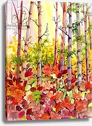 Постер Пушпарадж Нила (совр) Autumn Woods
