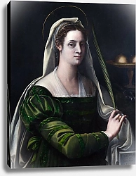 Постер Пиомболо Себстьяно Портрет леди с атрибутами Святой Агаты