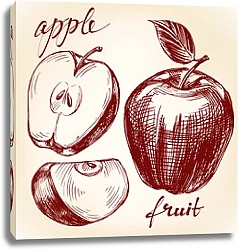 Постер Эскиз с яблоком