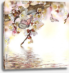 Постер Цветущая абрикосовая ветвь  с тремя бабочками