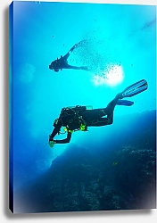Постер Два дайвера под водой