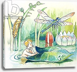 Постер Мендоза Филипп (дет) Dragonfly, illustration from 'The Water Babies' by Charles Kingsley, 1965