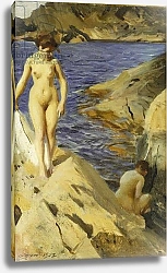 Постер Цорн Андерс Nudes; Nakt, 1902