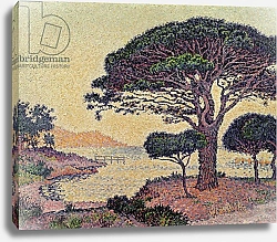 Постер Синьяк Поль (Paul Signac) Umbrella Pines at Caroubiers, 1898