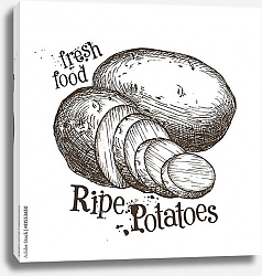 Постер Иллюстрация с нарезанным картофелем