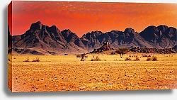 Постер Африка. Намибия. Дюны