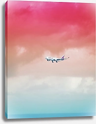 Постер Самолет в розовом небе над морем