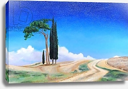 Постер Нил Тревор (совр) 4 Trees, Picenza, Tuscany, 2002