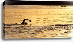 Постер Плавание в океане на закате, Сидней