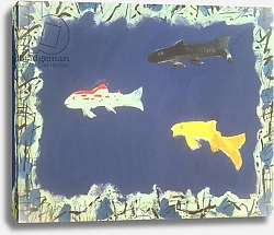 Постер Миши Давид (совр) Ornamental Fish