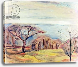Постер Мунк Эдвард Landscape, 1905