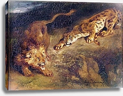 Постер Делакруа Эжен (Eugene Delacroix) Tiger and Lion