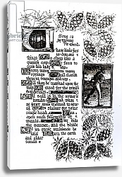 Постер Розетти Данте Illuminated text from Rossetti's 'House of Life' sonnet sequence, c.1880