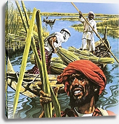 Постер Пэйн Роджер Men of the marshes of Southern Iraq