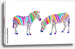 Постер Две зебры с цветными полосками