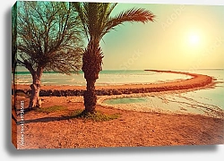 Постер  Мертвое море, берег в Эйн-Геди на рассвете, Израиль