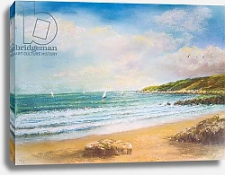 Постер Старкей Марго (совр) Devon Seascape, 2000
