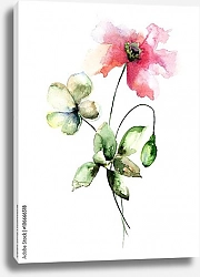 Постер Цветы мака и тюльпана