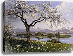 Постер A Bavarian Lake Landscape in Spring,