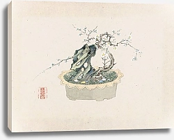 Постер Неизвестен Bonsai kabenzu, Pl.06