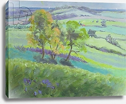 Постер Дюрхем Энн (совр) Towards Winchelsea, Sussex, with Bluebells in Spring