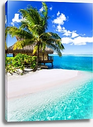 Постер Тропическая вилла и пальма рядом с голубой лагуной