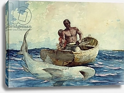 Постер Хомер Уинслоу Shark Fishing, 1885