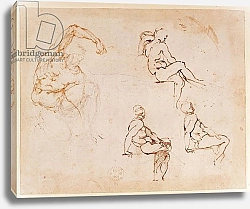 Постер Микеланджело (Michelangelo Buonarroti) Figure Studies for a Man
