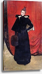 Постер Джервекс Уильям Portrait of Madame Gervex, 1893