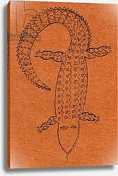 Постер Николс Жюли (совр) Crocodile, 2006