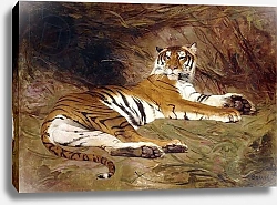 Постер A Reclining Tiger, 1904