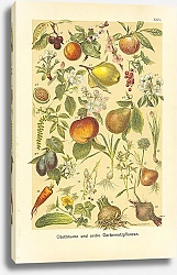Постер Obstbaume und andre Gartennutzpflanzen