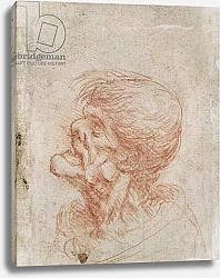 Постер Леонардо да Винчи (Leonardo da Vinci) Caricature Head Study of an Old Man, c.1500-05