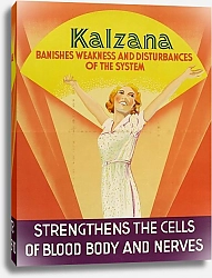 Постер Неизвестен Kalzana